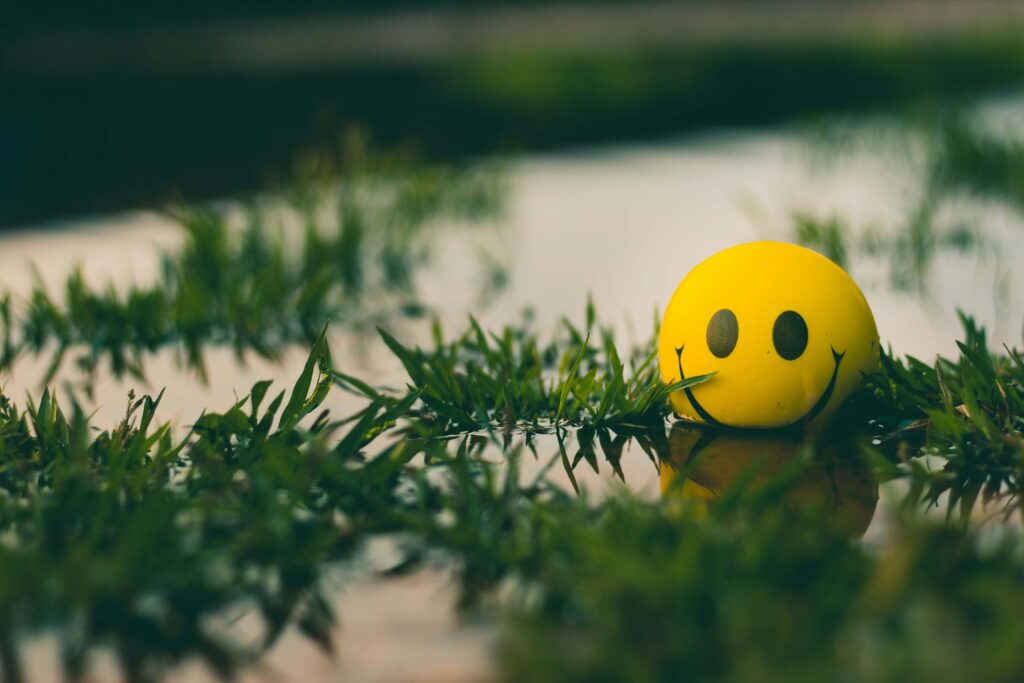 a smiley yellow ball in between Christmas tree branches